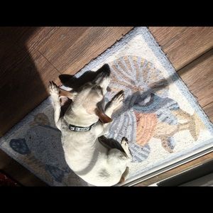 Meet your Posher, Linda